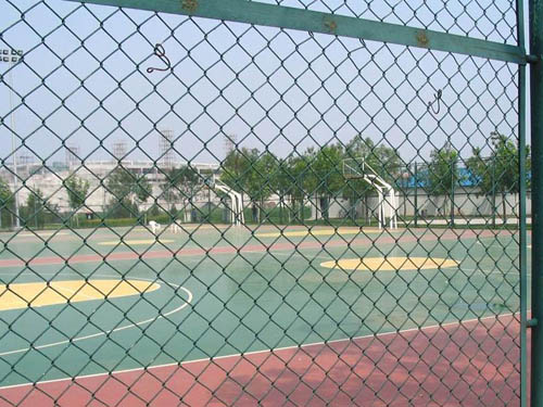 篮球场围网 (3)